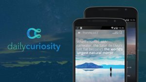 Daily Curiosity
